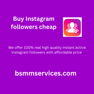 Buy Instagram followers cheap